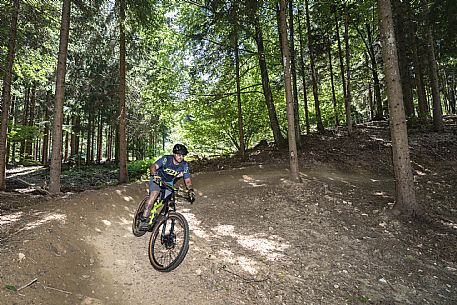 Bike Park dell'Angelo - Tarvisio