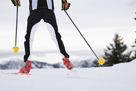 Cross Country Skiing Ring - Monte Zoncolan