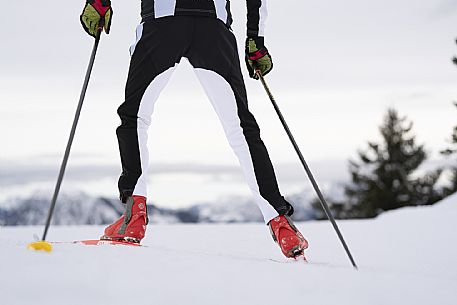 Cross Country Skiing Ring - Monte Zoncolan