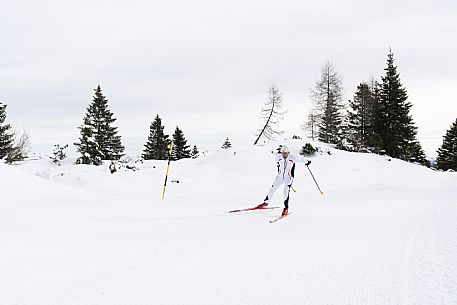 Cross Country Skiing Ring - Monte Zoncolan