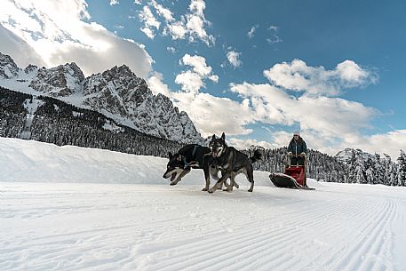 Sleddog a Sappada