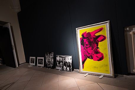 Exhibition of Andy Warhol - Gorizia 