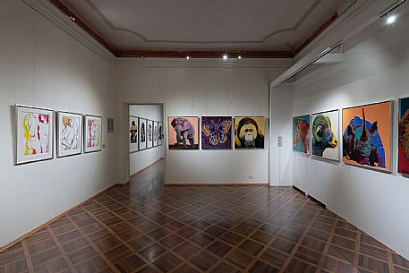 Exhibition of Andy Warhol - Gorizia 