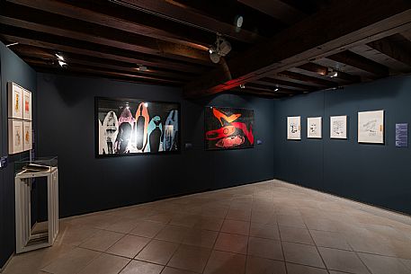 Exhibition of Andy Warhol - Gorizia 