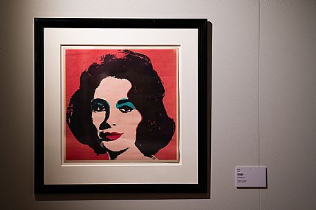 Exhibition of Andy Warhol - Gorizia 