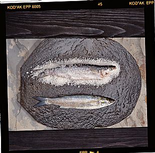 Grey mullets preserved in salt