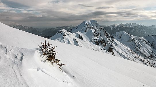 Polo Turistico Invernale: Zoncolan, Ravascletto