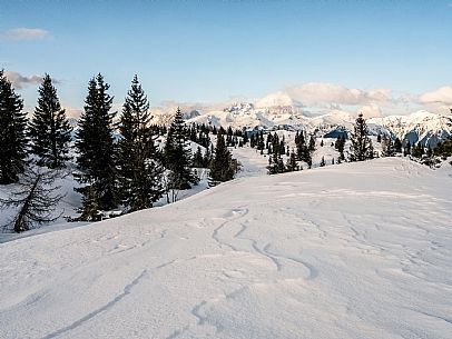 Polo Turistico Invernale: Zoncolan, Ravascletto