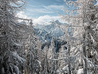 Polo Turistico Invernale: Tarvisio e Val Saisera