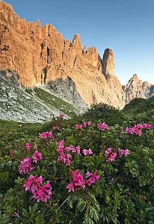 Friulian Dolomites - Val Suola