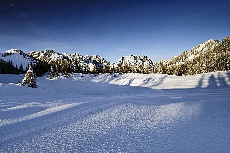 Dolomiti Pesarine