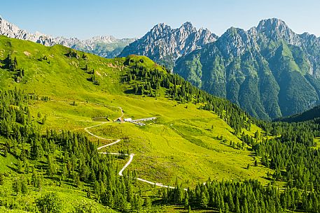 Flowering  along the circuit of the Sauris mountain pastures