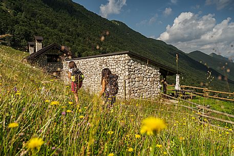 Friends trekking in the Julian Prealps Park, from Coot hut to Canin hut. Julian Prealps Natural Park. MABUNESCO