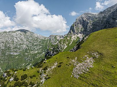 Flock of sheep grazing above Casera Canin, in the heart of the Julian Prealps Natural Park, MAB Unesco.