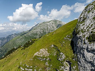 Flock of sheep grazing above Casera Canin, in the heart of the Julian Prealps Natural Park, MAB Unesco.