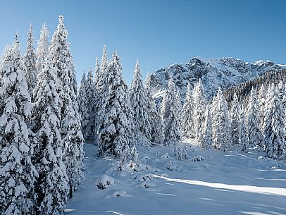 Cross-country ski trail Passo Pramollo, Nassfeld, Pontebba. The Pramollo ring extends at 1500 m above sea level close to an Alpine Pass of extraordinary beauty.