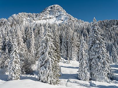 Cross-country ski trail Passo Pramollo, Nassfeld, Pontebba. The Pramollo ring extends at 1500 m above sea level close to an Alpine Pass of extraordinary beauty.