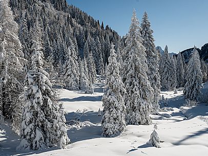 Cross-country ski trail Passo Pramollo, Nassfeld, Pontebba. The Pramollo ring extends at 1500 m above sea level close to an Alpine Pass of extraordinary beauty.