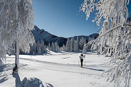 Cross-country ski trail Passo Pramollo, Nassfeld, Pontebba. The Pramollo ring extends at 1500 m above sea level close to an Alpine Pass of extraordinary beauty.