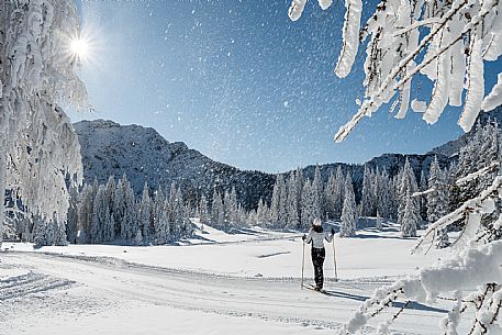 Cross-country ski trail Passo Pramollo, Nassfeld, Pontebba. The Pramollo ring extends at 1500 m above sea level close to an Alpine Pass of extraordinary beauty.