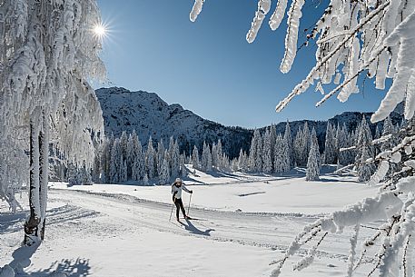 Cross-country ski trail Passo Pramollo, Nassfeld, Pontebba. The Pramollo ring extends at 1500 m above sea level close to an Alpine Pass of extraordinary beauty.