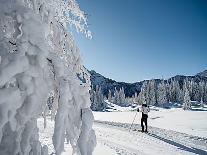 Cross-country ski trail Passo Pramollo, Nassfeld, Pontebba. The Pramollo ring extends at 1500 m above sea level close to an Alpine Pass of extraordinary beauty.