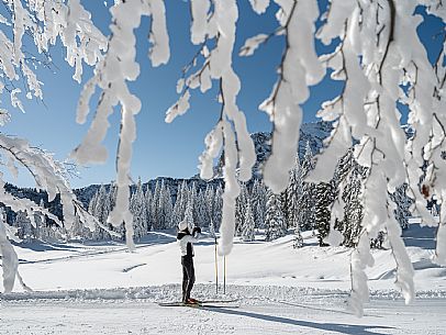 Cross-country ski trail Passo Pramollo, Nassfeld, Pontebba. The Pramollo ring extends at 1500 m above sea level close to an Alpine Pass of extraordinary beauty.