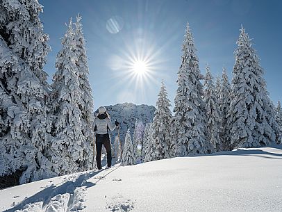 Cross-country ski trail Passo Pramollo, Nassfeld, Pontebba. The Pramollo ring extends at 1500 m above sea level close to an Alpine Pass of extraordinary beauty.