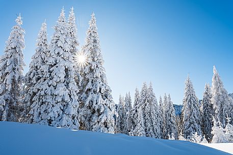 Cross-country ski trail Passo Pramollo, Nassfeld, Pontebba. The Pramollo ring extends at 1500 m above sea level close to an Alpine Pass of extraordinary beauty.