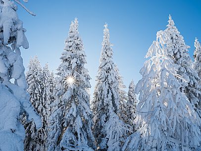 Cross-country ski trail Passo Pramollo, Nassfeld, Pontebba. The Pramollo ring extends at 1500 m above sea level close to an Alpine Pass of extraordinary beauty.