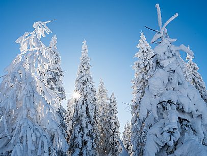 Cross-country ski trail Passo Pramollo, Nassfeld, Pontebba. The Pramollo ring extends at 1500 m above sea level close to an Alpine Pass of extraordinary beauty.