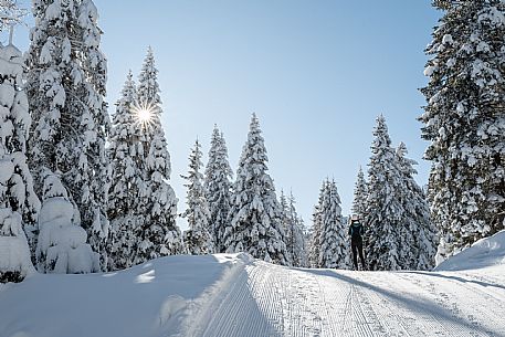 Cross-country ski trail Passo Pramollo, Nassfeld, Pontebba. The Pramollo ring extends at 1500 m above sea level close to an Alpine Pass of extraordinary beauty.