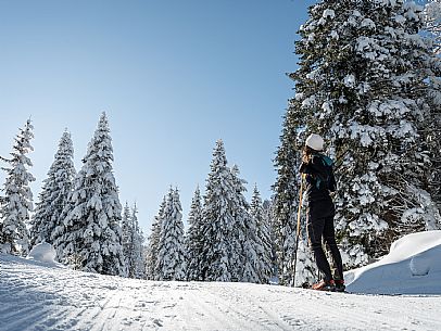 Cross-country ski trail Passo Pramollo, Nassfeld, Pontebba. The Pramollo ring extends at 1500 m above sea level close to an Alpine Pass of extraordinary beauty.