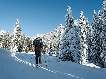 Cross-country ski trail Passo Pramollo, Nassfeld, Pontebba. The Pramollo ring extends at 1500 m above sea level close to an Alpine Pass of extraordinary beauty.