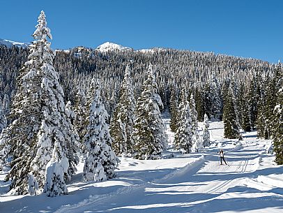 Cross-country ski trail Passo Pramollo, Nassfeld, Pontebba. The Pramollo ring extends at 1500 m above sea level close to an Alpine Pass of extraordinary beauty.