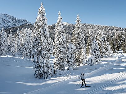 Cross-country ski trail Passo Pramollo, Nassfeld, Pontebba. The Pramollo ring extends at 1500 m above sea level close to an Alpine Pass of extraordinary beauty.