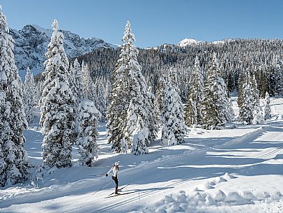 Cross-country ski trail Passo Pramollo, Nassfeld, Pontebba. The Pramollo ring extends at 1500 m above sea level close to an Alpine Pass of extraordinary beauty.