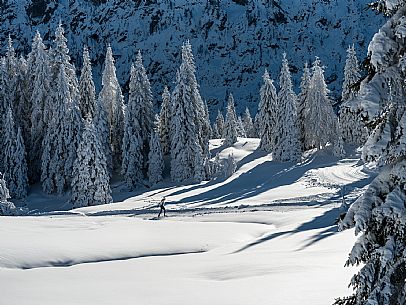 Cross-country ski trail Passo Pramollo, Nassfeld, Pontebba. The Pramollo ring extends at 1500 m above sea level close to an Alpine Pass of extraordinary beauty.