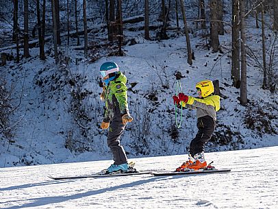 Teacher young woman and child learning alpine skiing in a school camp in Tarvisio.