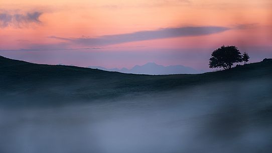 Pastures in Piancavallo, Collalto, Aviano.
