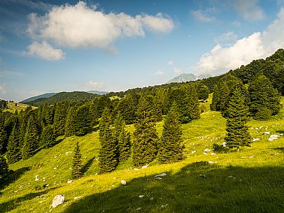 Pastures in Piancavallo, Collalto, Aviano.
