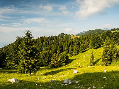 Pastures in Piancavallo, Collalto, Aviano.
