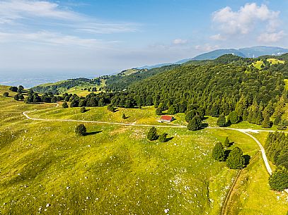 Pastures in Piancavallo, Collalto, Aviano.
