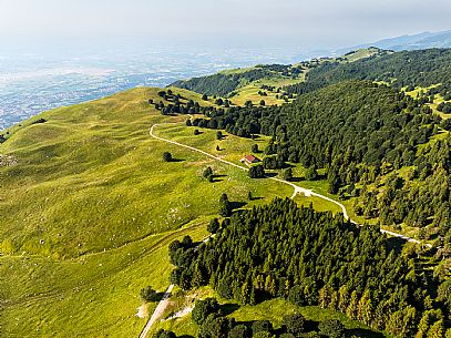 Pastures in Piancavallo, Collalto, Aviano.
