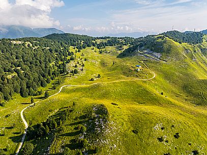 Pastures in Piancavallo, Collalto, Aviano.
