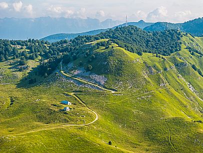 Pastures in Piancavallo, Collalto, Aviano.
