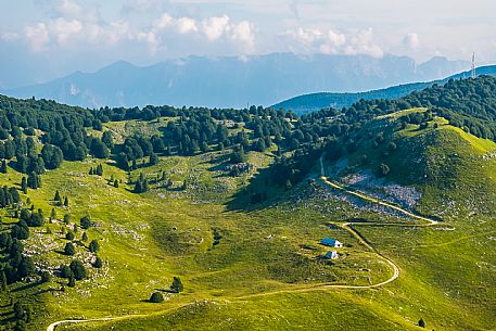 Pastures in Piancavallo, Collalto, Aviano.
