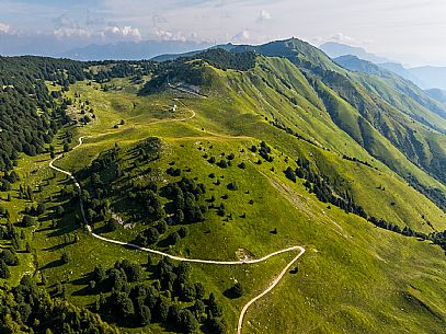 Pastures in Piancavallo, Collalto, Aviano.
