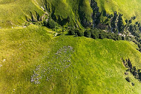 Pastures in Piancavallo, Collalto, Aviano.
