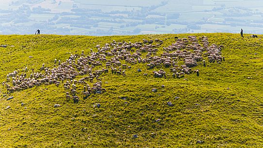 Pastures in Piancavallo, Collalto, Aviano.
